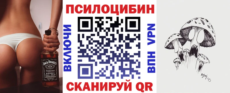 Галлюциногенные грибы Psilocybe  цена   Александровск 